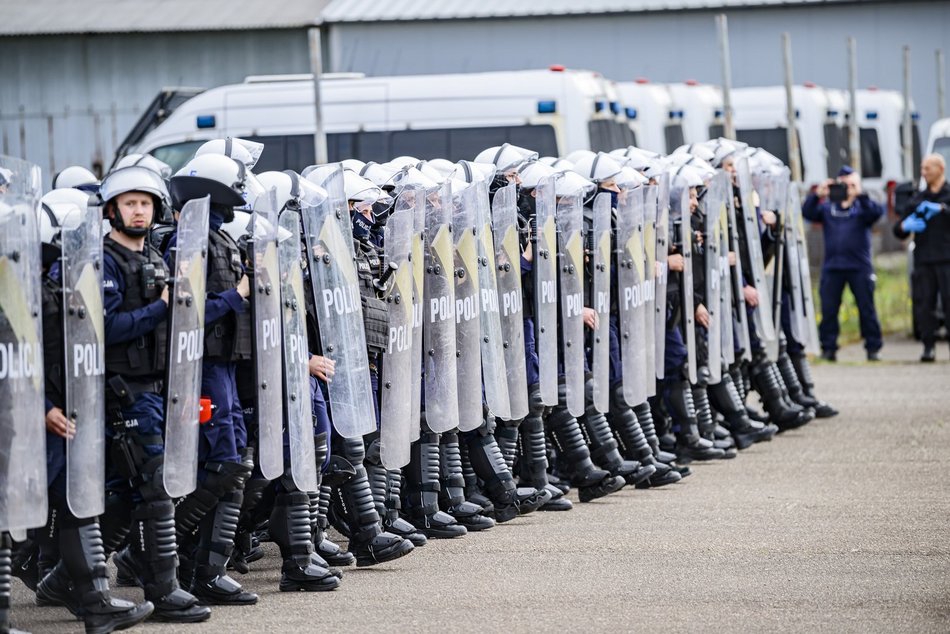 Łódź. Zwierzęta Straży Miejskiej na szkoleniu