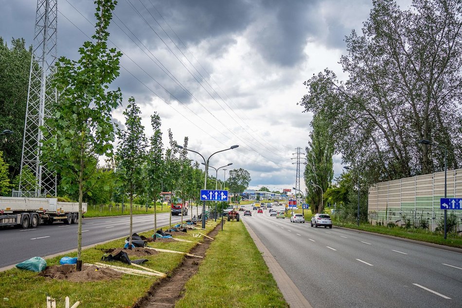 Łódź. Budżet Obywatelski Łódź 2025. Więcej zieleni przy Włókniarzy Łodzi