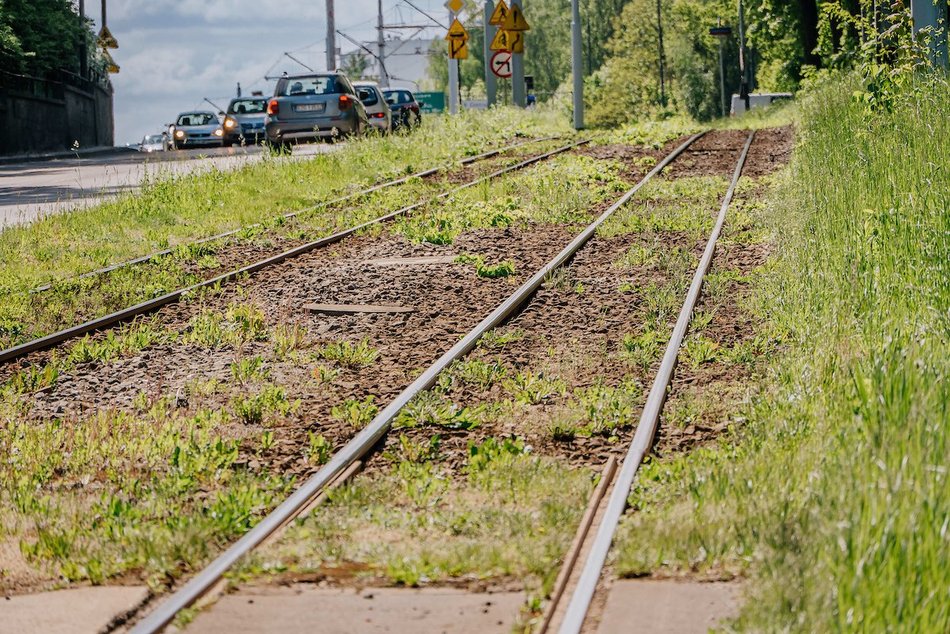 Łódź. Ponad 30 kilometrów najbardziej zielonych torowisk w Polsce? Oczywiście w Łodzi!