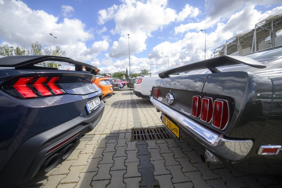 Ale auta pod Atlas Areną w Łodzi. Europejski zlot aut sportowych