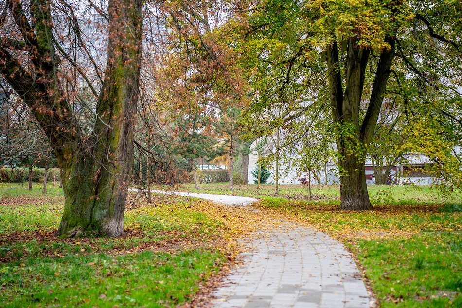 Łódź. TOP 10 metamorfoz parków w 2025 roku