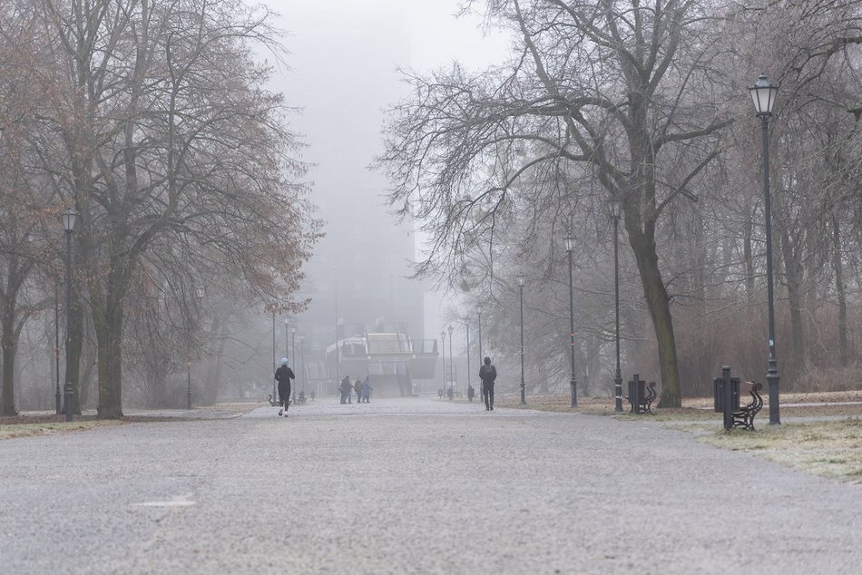 Łódź. Spacerowicze w parku Poniatowskiego