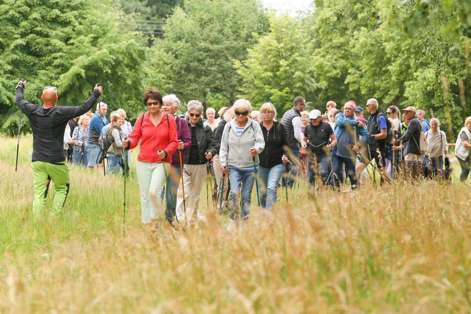 seniorzy spacerują z kijkami