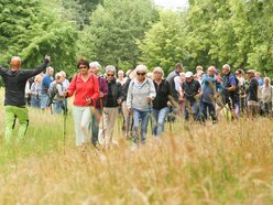 seniorzy spacerują z kijkami