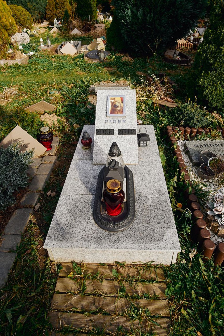 Cmentarz dla zwierząt w Łodzi