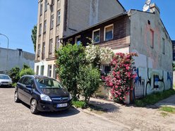 Najbardziej ukwiecony domek w Łodzi? Róże pokrywają niemal całą elewację