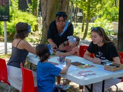 Łódzkie olbrzymy świętują! Dzień Słonia w Orientarium Zoo Łódź