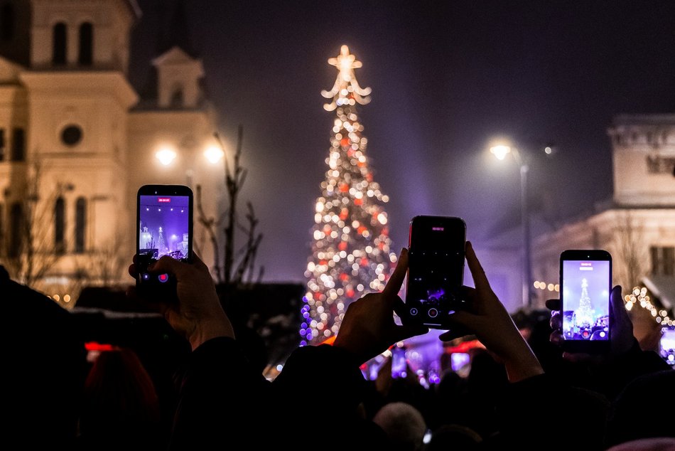 Choinka na Piotrkowskiej w Łodzi już świeci! Tłumy łodzian na placu Wolności