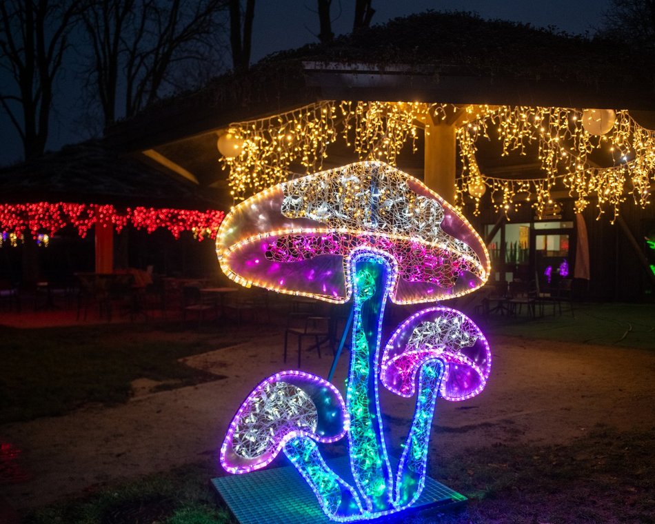 Park Miliona Świateł w Łodzi dzień przed otwarciem