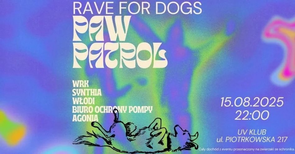 Łódź. Co robić w długi weekend w Łodzi? Kino pod chmurką, Rave for Dogs, Targ Staroci, wegański festiwal kulinarny