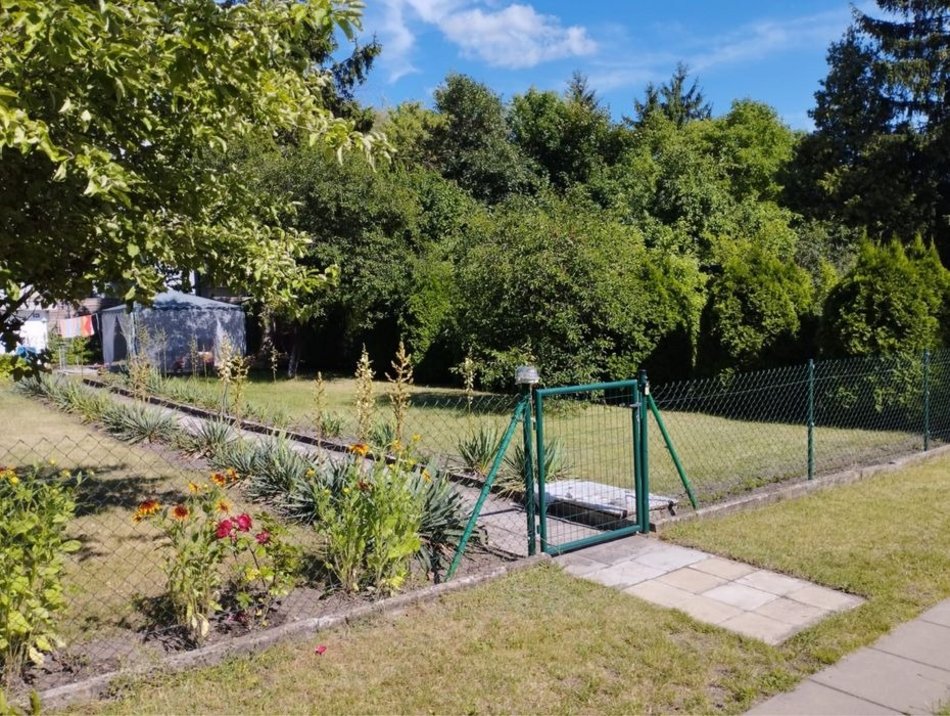 Łódź. Działka ROD (ul. Nowogrodzka 2)