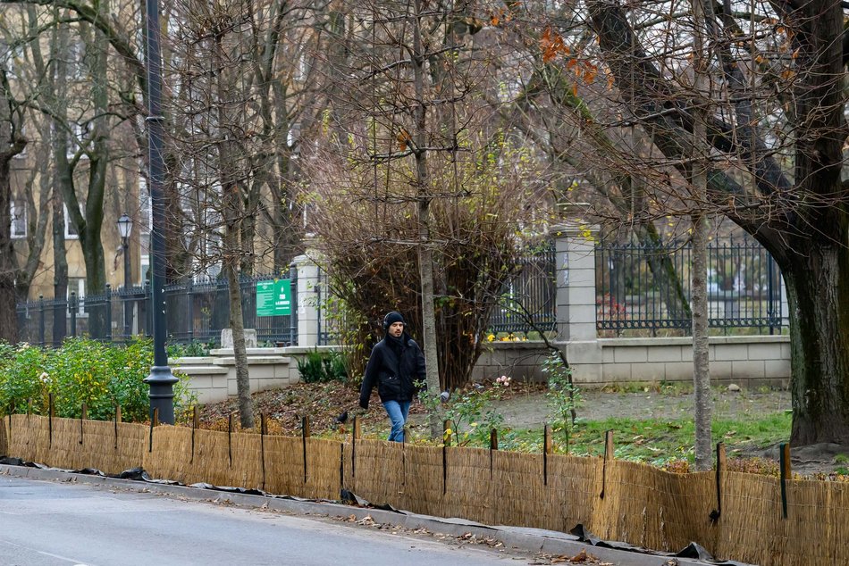 Łódź. Łódź chroni zieleń przed zimą! Pojawiły się już pierwsze osłony na rośliny