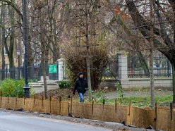 Łódź. Łódź chroni zieleń przed zimą! Pojawiły się już pierwsze osłony na rośliny