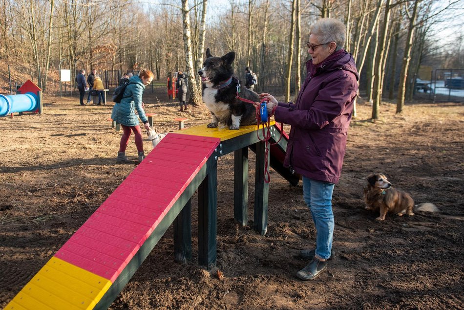 TOP 13 projektu Budżetu Obywatelskiego Łódź