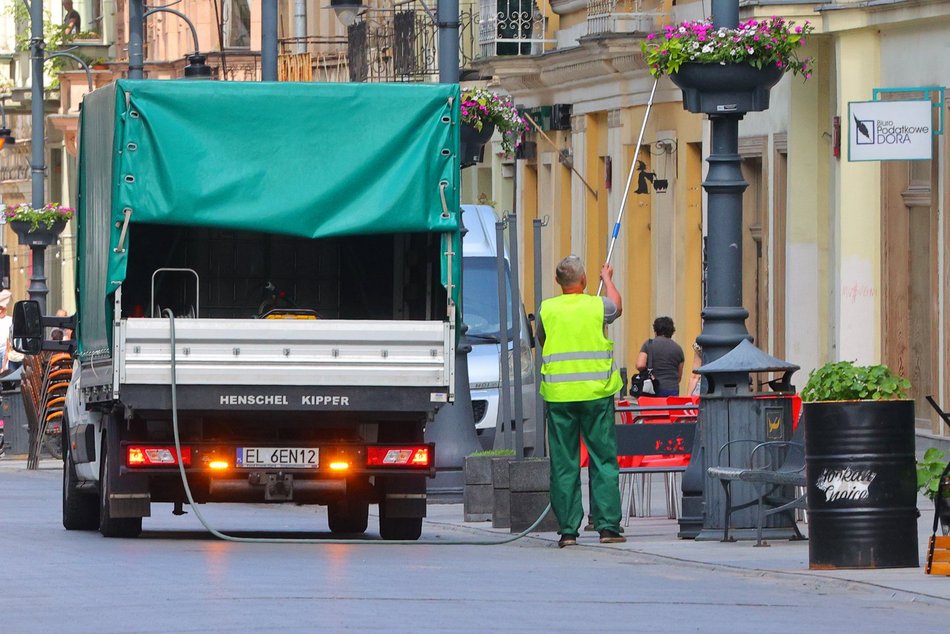 Na Piotrkowskiej i w okolicy sadzą kolorowe rośliny