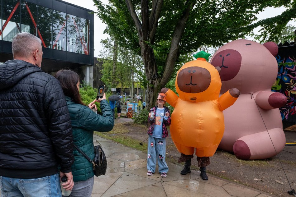 Łódź. Zlot Fanów Kapibary w Orientarium Zoo Łódź. Świetna frekwencja mimo niepogody