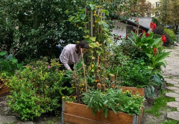 Łódź. Mikrogranty dla Seniorów 2025 w Łodzi. Nabór zakończony, czas na kolejne etapy!