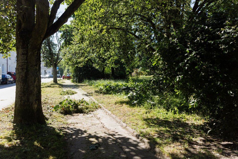 Łódź. Prace pielęgnacyjne w parku przy Leczniczej w Łodzi. Będzie ładniej i wygodniej!