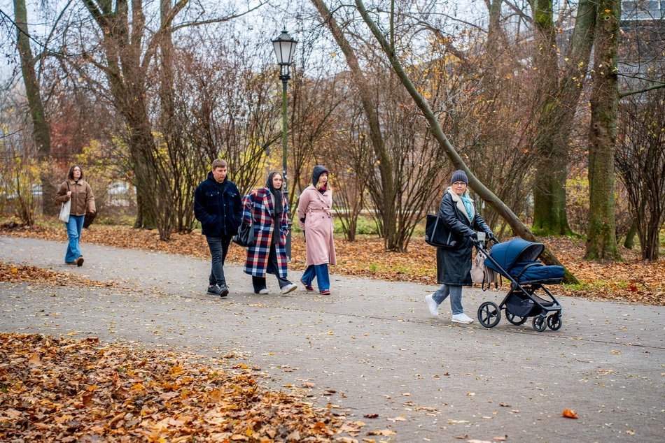 Łódź. Jesień w parku Źródliska
