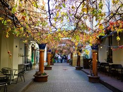 Najpiękniejsze jesienne podwórko w Łodzi? Zajrzyj na Piotrkowską 67!