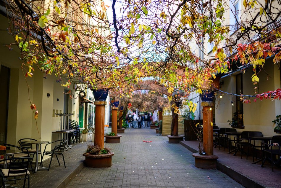 Najpiękniejsze jesienne podwórko w Łodzi? Zajrzyj na Piotrkowską 67!