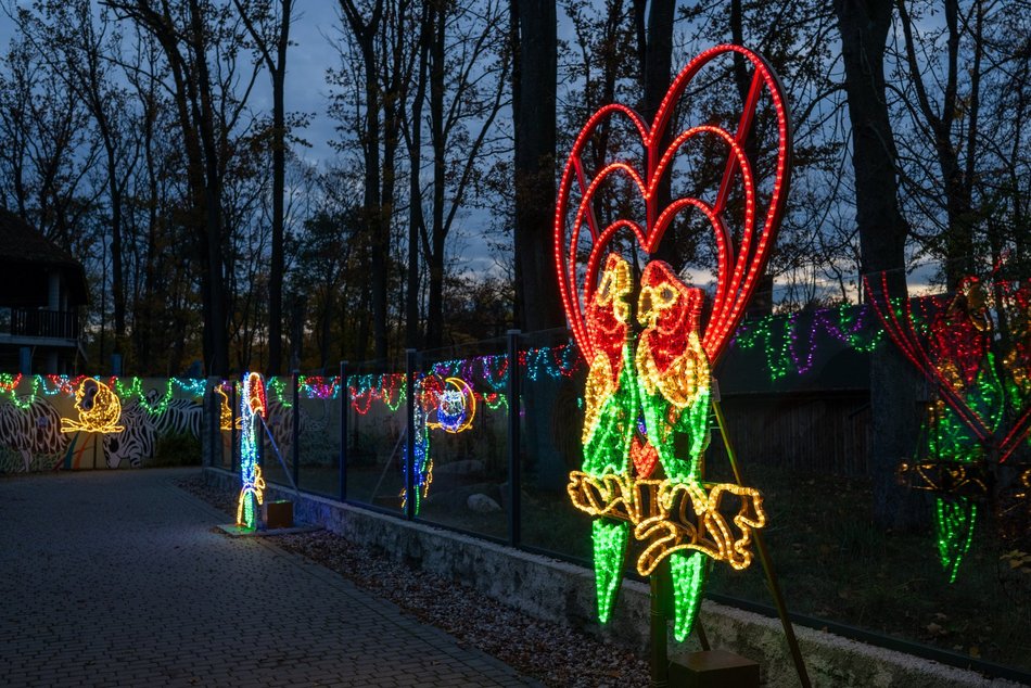 Park Miliona Świateł w Łodzi otwarty! Magiczne zwierzęta opanowały Orientarium Zoo Łódź