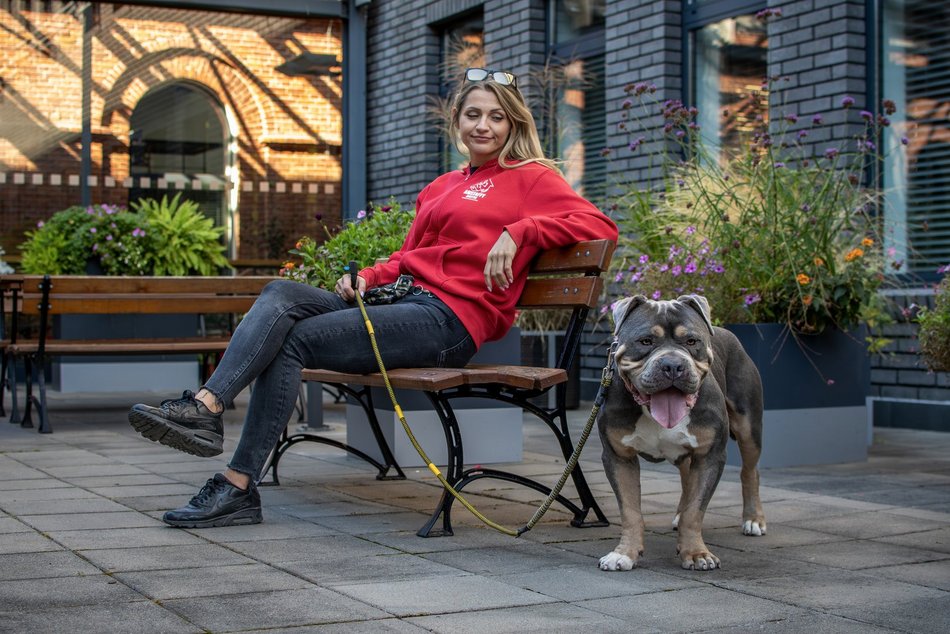 Łódź. Stowarzyszenie „Amstaffy Niczyje” z Łodzi zwalcza stereotypy. Siła i łagodność mogą iść w parze!