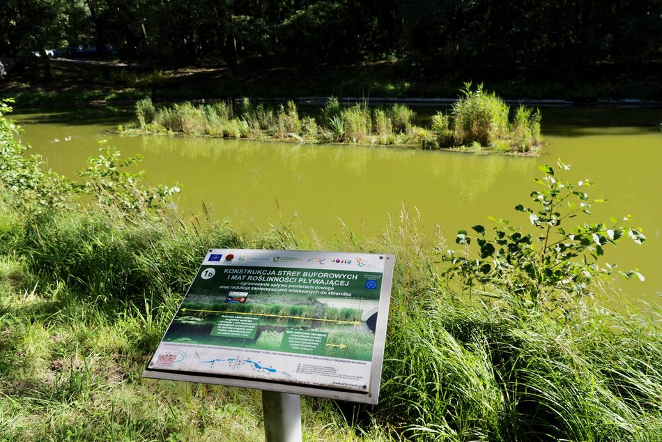 Łódź. Trzy wyspy na stawie w Arturówku w Łodzi. Oczyszczą wodę i pomogą zwierzętom!