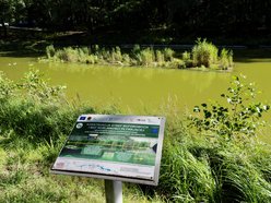 Łódź. Trzy wyspy na stawie w Arturówku w Łodzi. Oczyszczą wodę i pomogą zwierzętom!