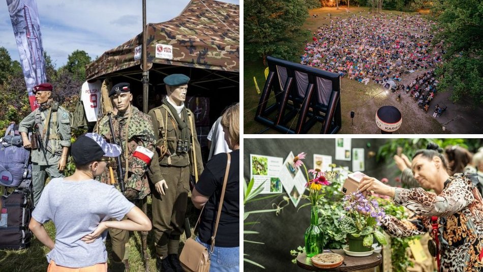 Łódź. Co robić w długi weekend w Łodzi? Kino pod chmurką, Rave for Dogs, Targ Staroci, wegański festiwal kulinarny