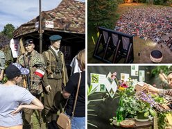 Łódź. Co robić w długi weekend w Łodzi? Kino pod chmurką, Rave for Dogs, Targ Staroci, wegański festiwal kulinarny