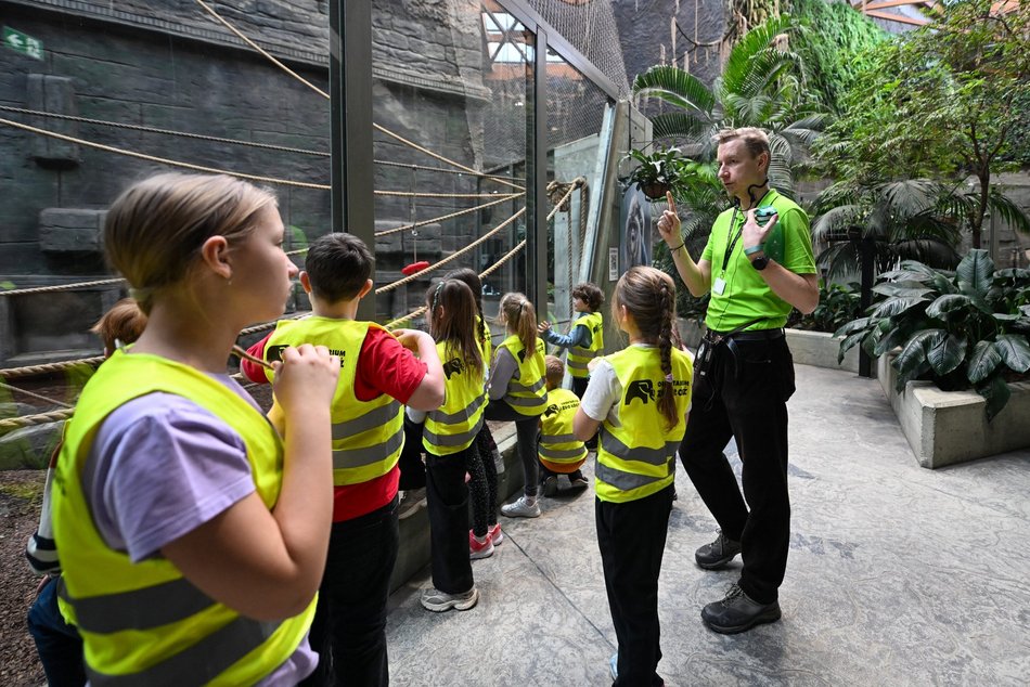 Łódź. Ferie zimowe 2026 w Orientarium Zoo Łódź