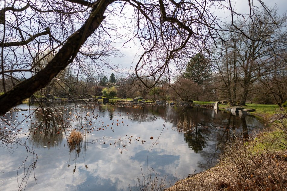Wiosenny Ogród Botaniczny w Łodzi. Spacer wśród budzącej się do życia przyrody