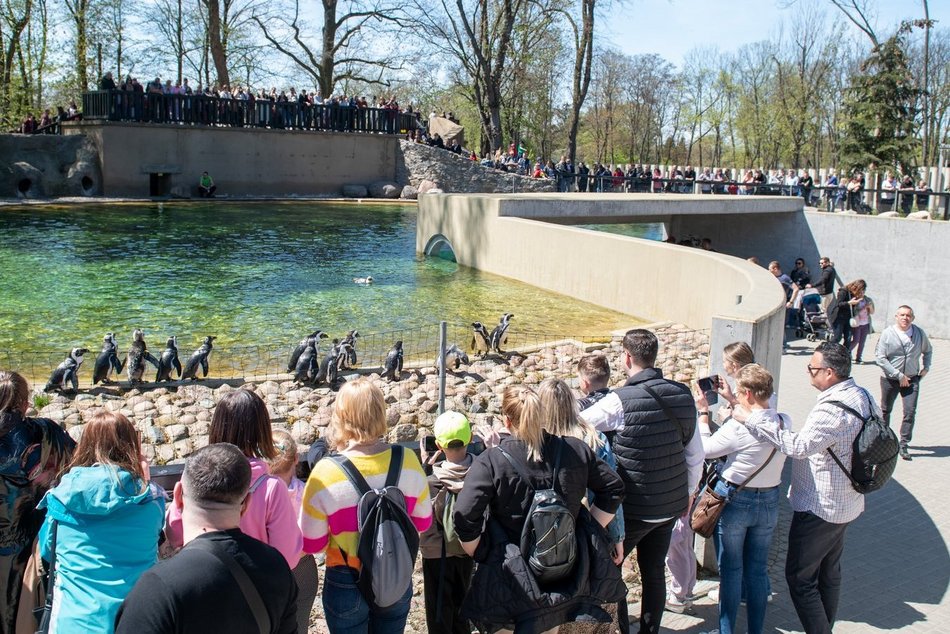 Co robić w majówkę w Łodzi przewodnik