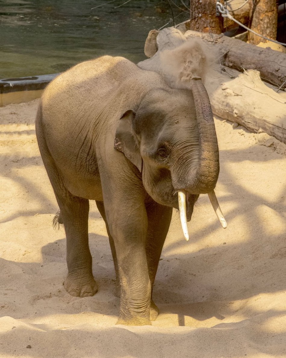 Orientarium Zoo Łódź