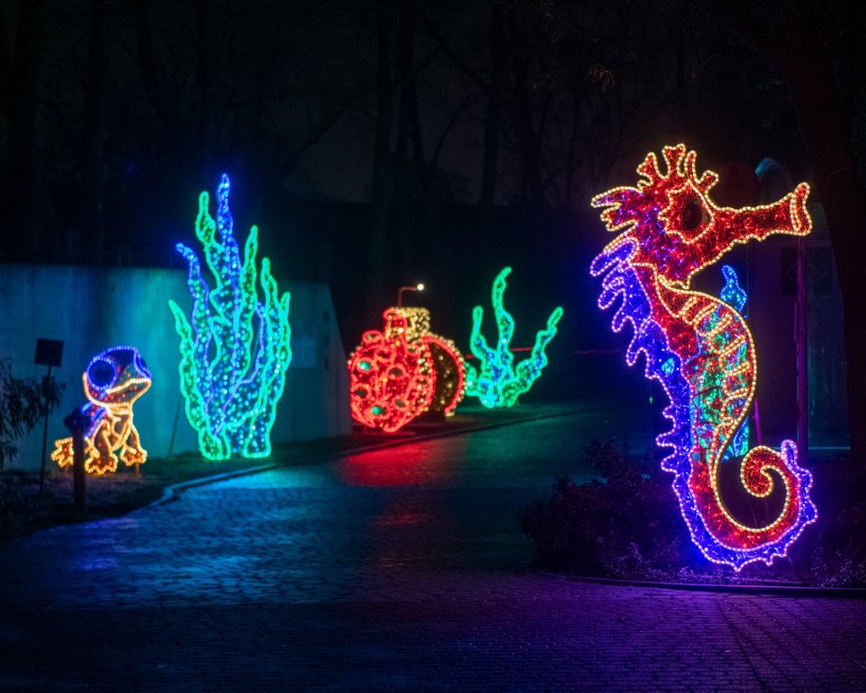 Park Miliona Świateł w Orientarium Zoo Łódź