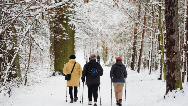 Jak ubrać się na zimowy spacer? Korzystaj z uroków zimy i nie choruj! [PORADNIK]