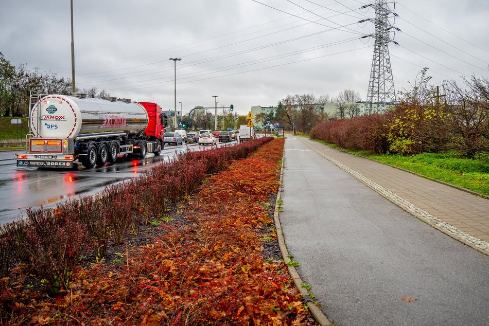 Zazieleni się na Retkini w Łodzi. Będą drzewa liściaste, krzewy i nowoczesny plac zabaw