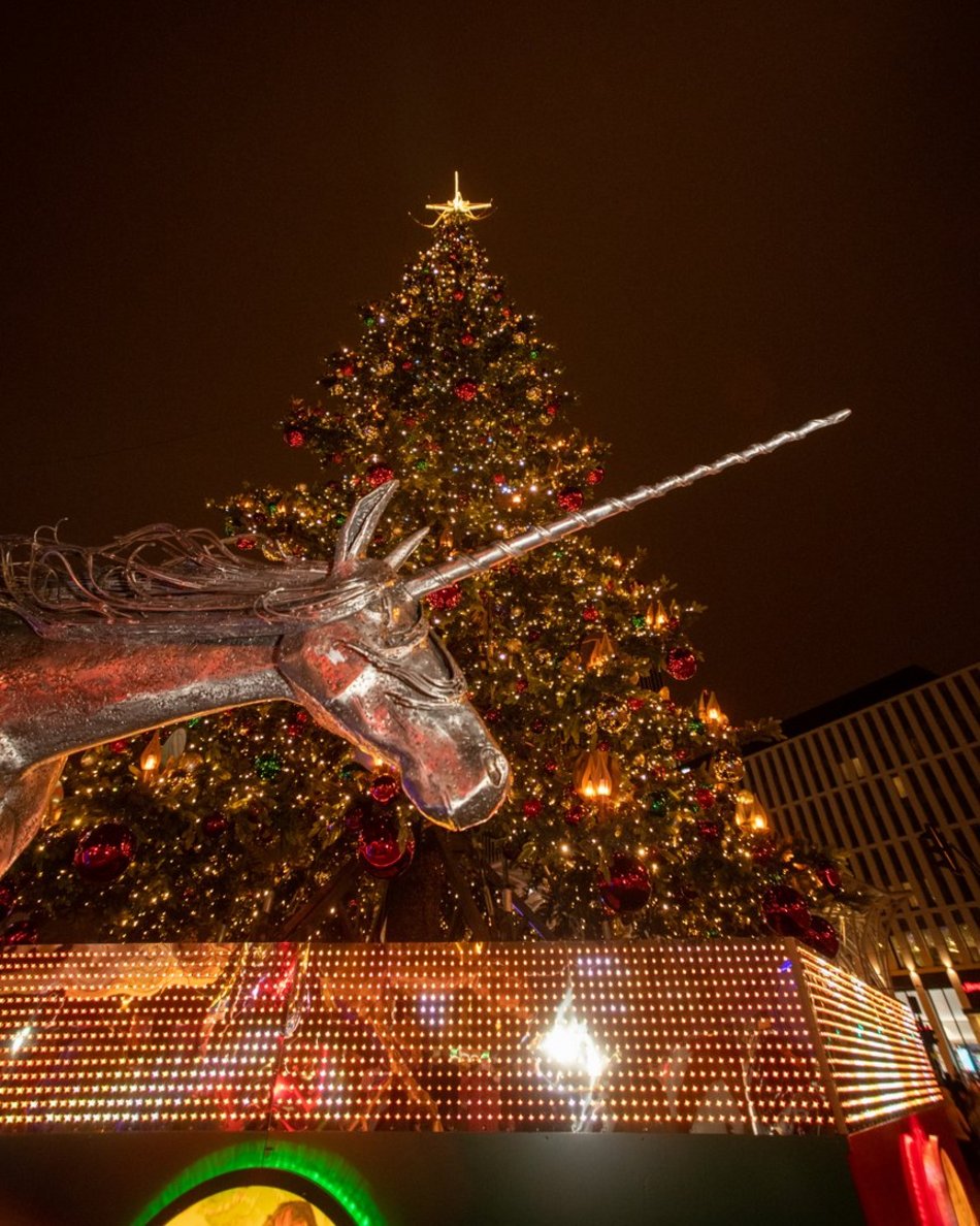 Ялинка на Piotrkowskiej вже готова до свят