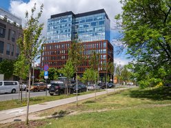Łódź. Aż 80 nowych drzew przy Monopolis w Łodzi! Piękne wiśnie zdobią Wydawniczą