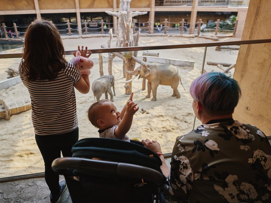 Łódź. Orientarium Zoo Łódź