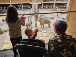 Łódź. Orientarium Zoo Łódź