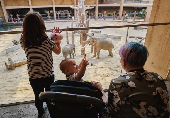 [Translate to Ukraiński:] Łódź. Dzień Dziecka w Orientarium Zoo Łódź. Animacje, konkursy i detektywistyczna gra