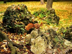 Łódź. Jesień w parku Źródliska w Łodzi. Nie wybrać się tam na spacer to grzech!