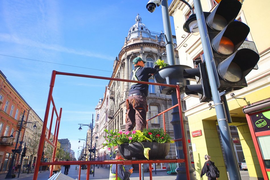 Łódź. Wieszanie kwiatów na ul. Piotrkowskiej w Łodzi