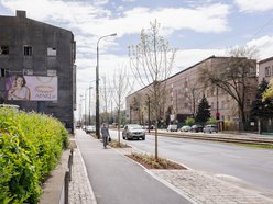 Łódź. Żeromskiego w Łodzi po remoncie. Chodniki bez aut, nowe parkingi i dużo zieleni
