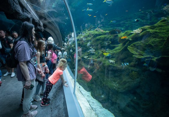 Orientarium Zoo Łódź