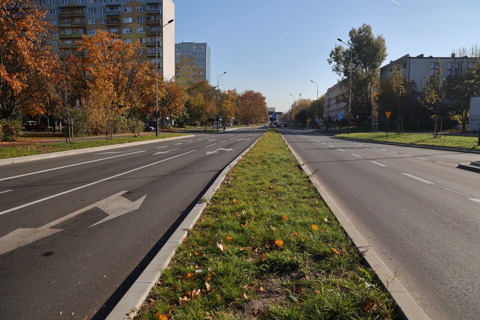 Mniej betonu, więcej zieleni! U zbiegu Lutomierskiej i Włókniarzy zakwitną rośliny
