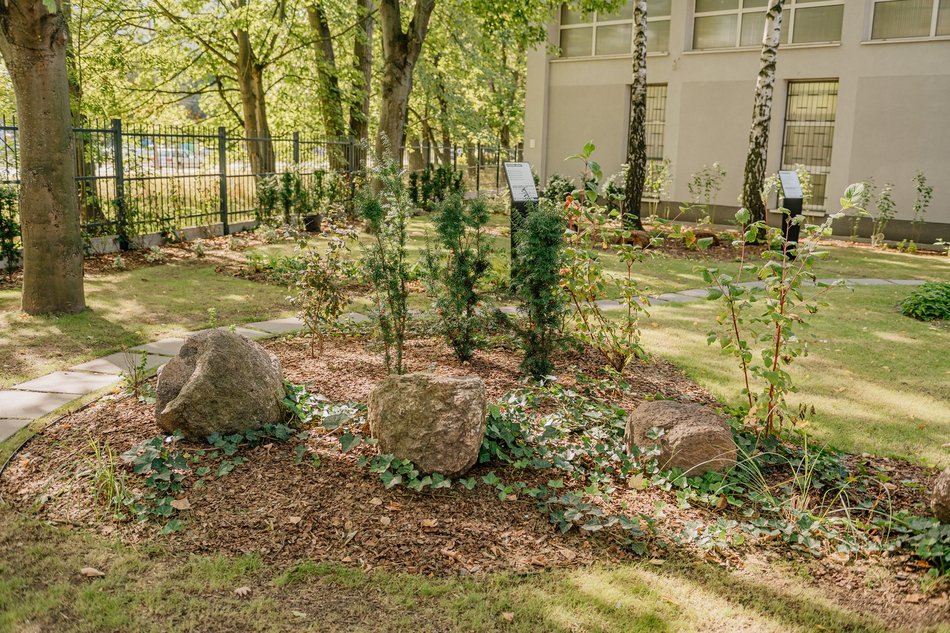 Eko Ogród w IX LO w Łodzi