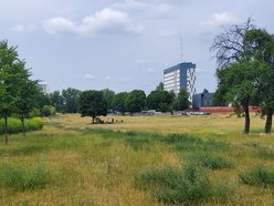 Łódź. Zieleniec między Drewnowską a Lutomierską - tu płynęła zapomniana rzeczka